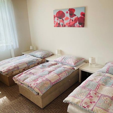 Ubytovani U Lva Žirovnice 외부 사진